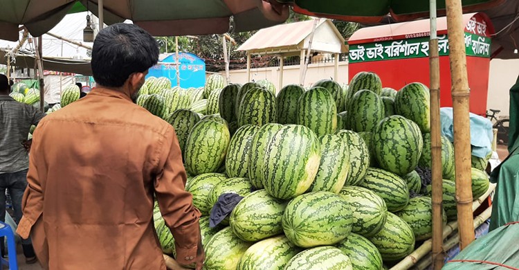 কেজিতে বিক্রি হচ্ছে তরমুজ